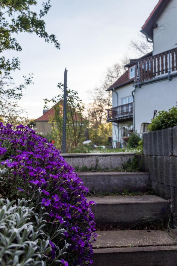 Gaestehaus Bechtloff Meißen Dış mekan fotoğraf